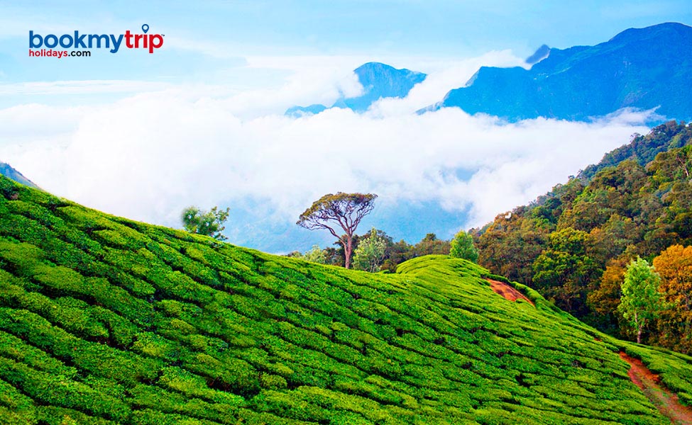 Bookmytripholidays | Premium Style Kerala | Luxury tour packages